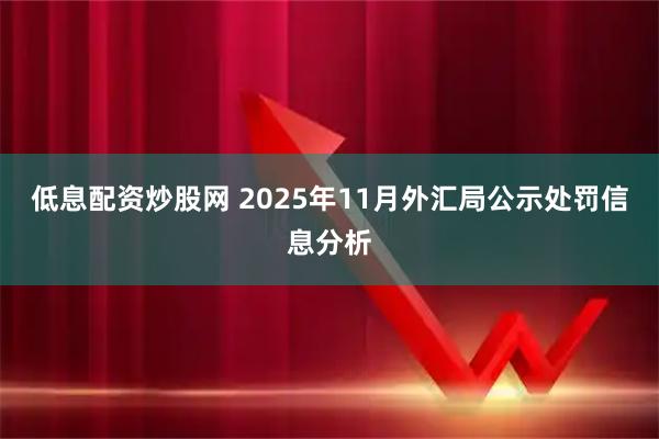 低息配资炒股网 2025年11月外汇局公示处罚信息分析
