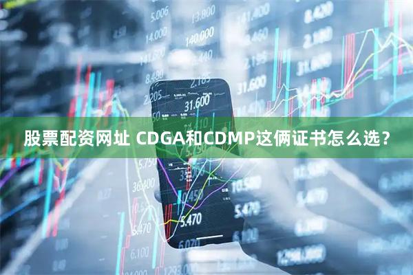 股票配资网址 CDGA和CDMP这俩证书怎么选？