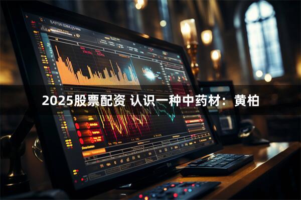 2025股票配资 认识一种中药材：黄柏