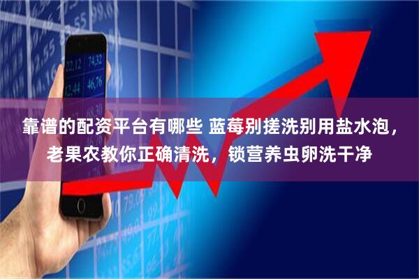 靠谱的配资平台有哪些 蓝莓别搓洗别用盐水泡，老果农教你正确清洗，锁营养虫卵洗干净