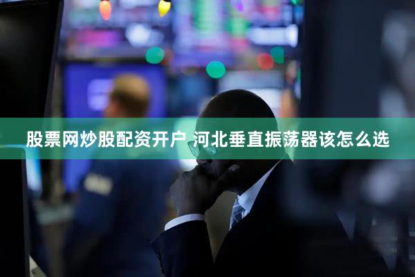 股票网炒股配资开户 河北垂直振荡器该怎么选