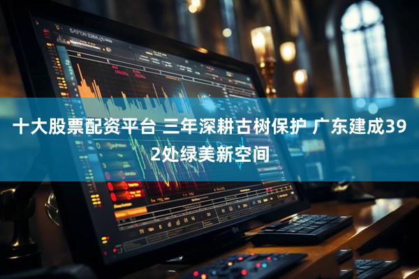 十大股票配资平台 三年深耕古树保护 广东建成392处绿美新空间